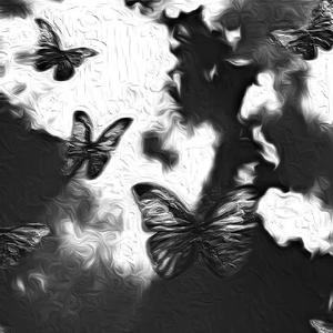 中国唯一一次黑毛时装秀
